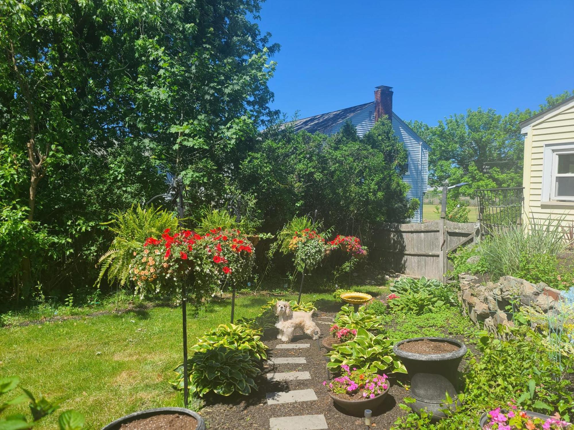 Park View South Of Boston - Quincy Apartment Bagian luar foto
